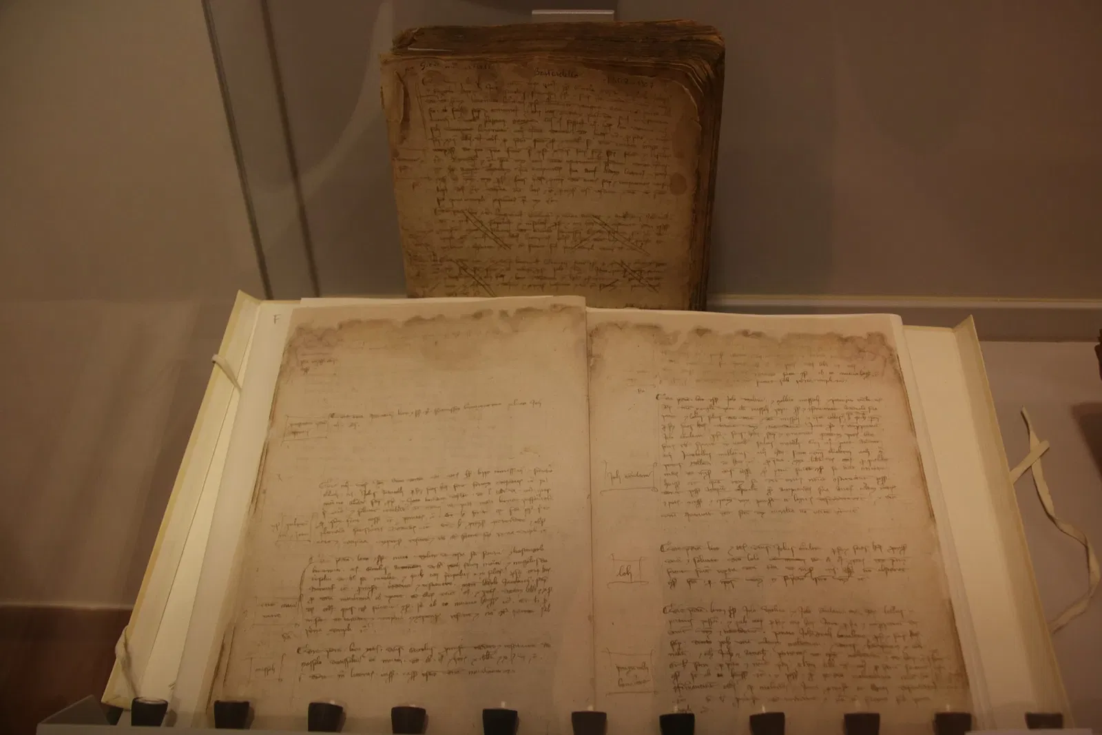 Museo Civico Palazzo Lepri