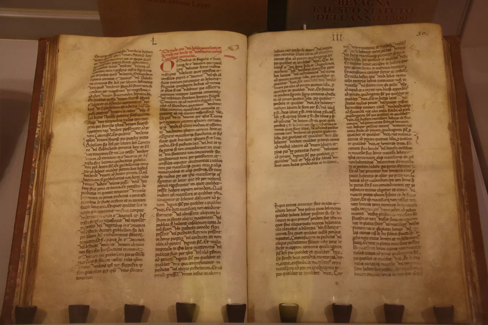 Museo Civico Palazzo Lepri