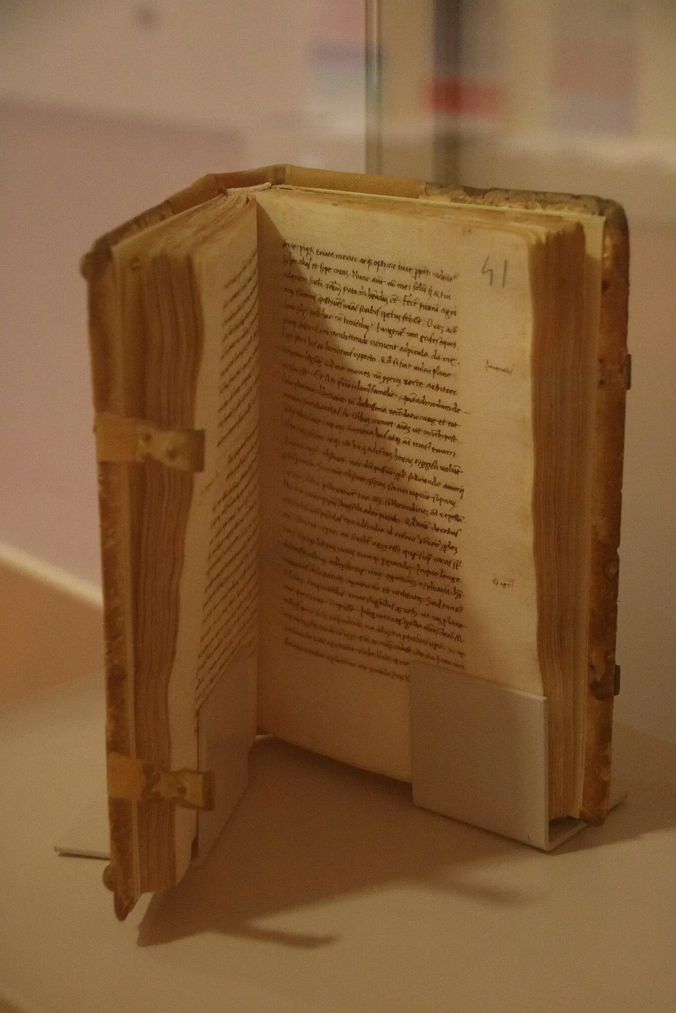 Museo Civico Palazzo Lepri