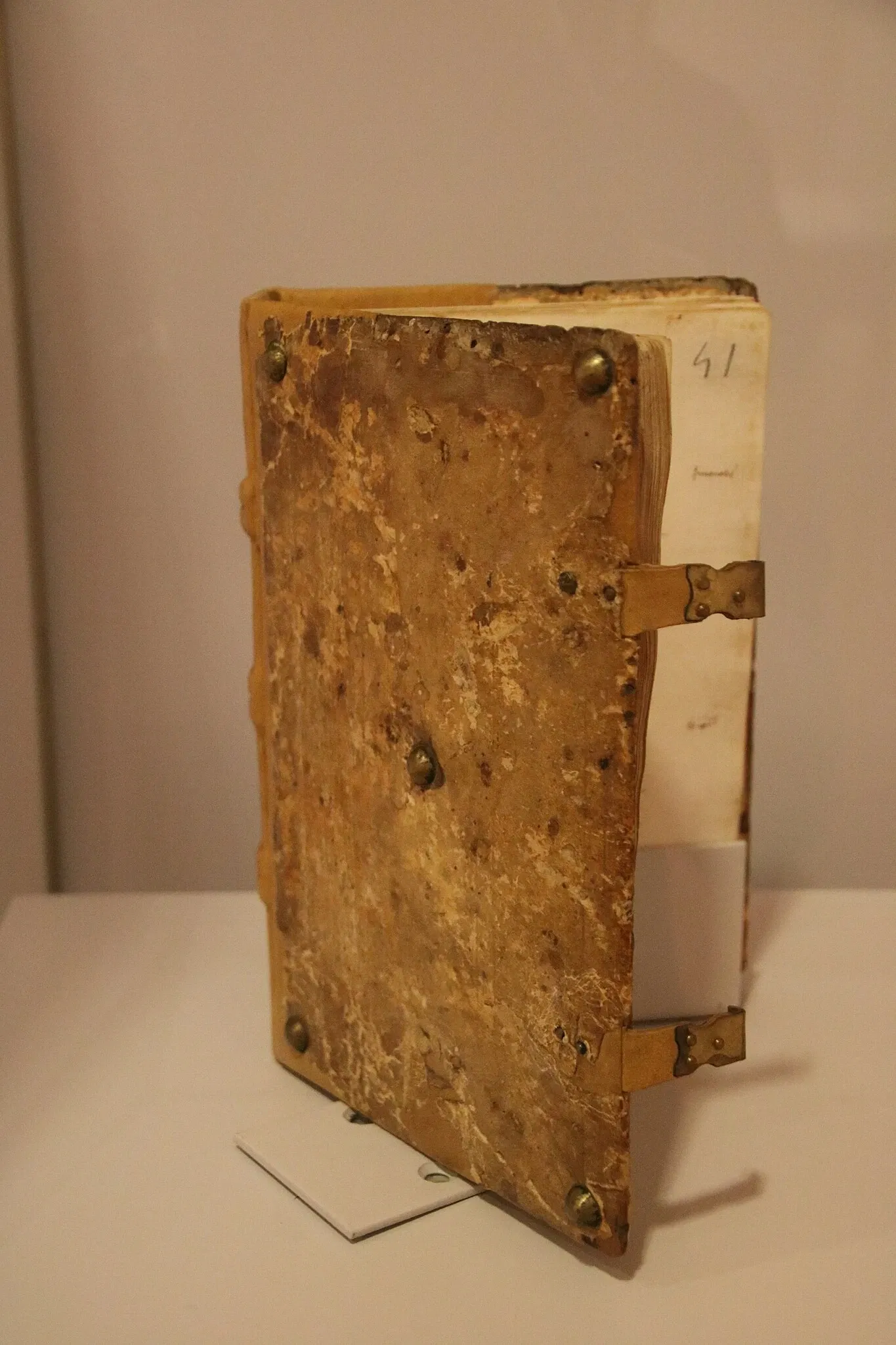 Museo Civico Palazzo Lepri