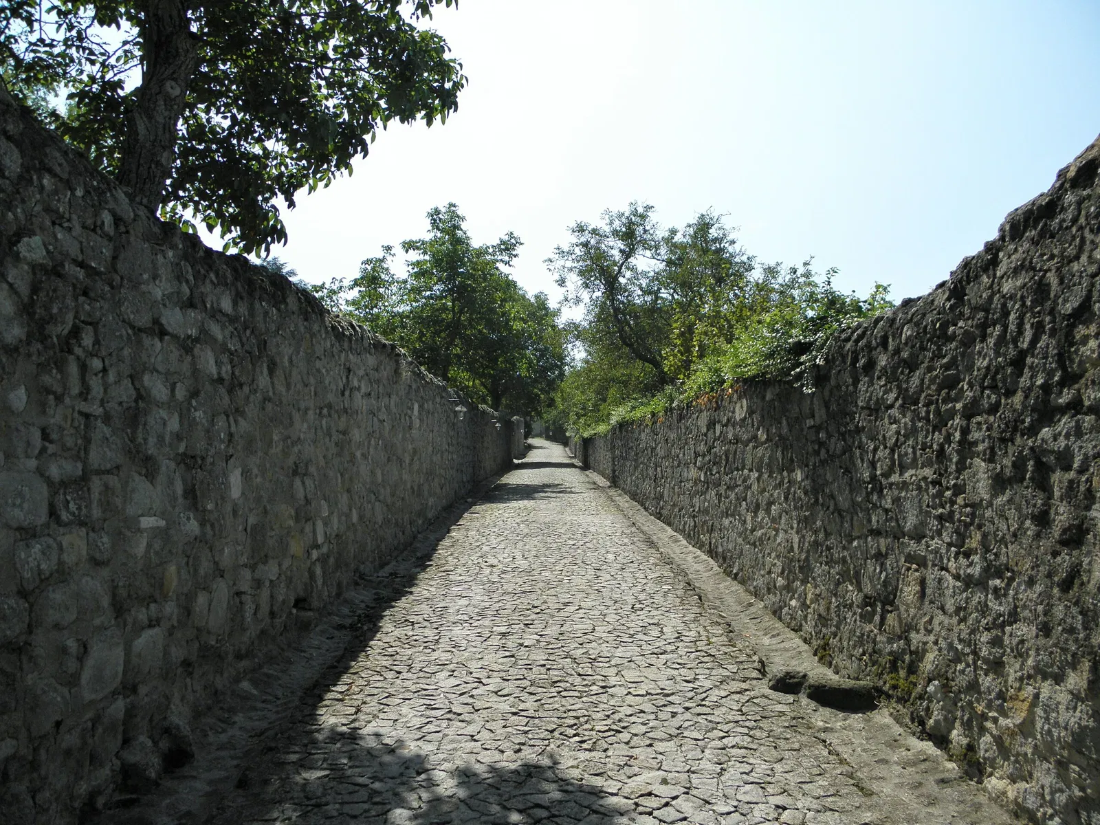 Museo Naturalistico di Villa Beatrice