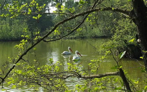 Parco Faunistico La Torbiera
