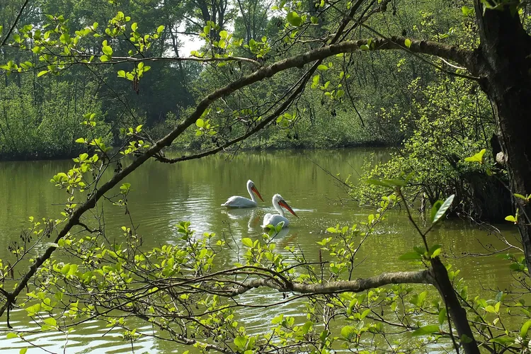 Parco Faunistico La Torbiera