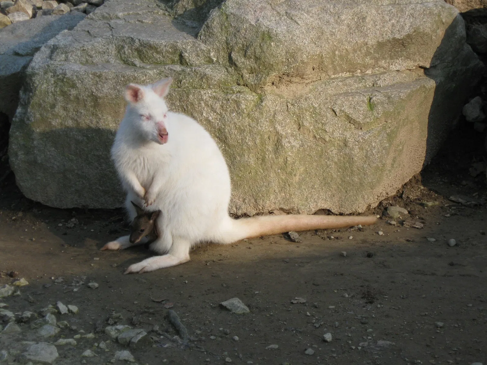 Faunistic Park La Torbiera