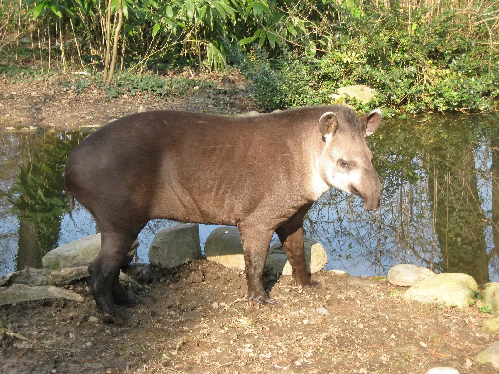 Parco Faunistico La Torbiera