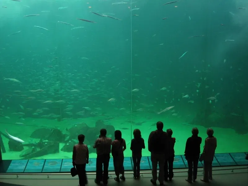 North Sea Oceanarium