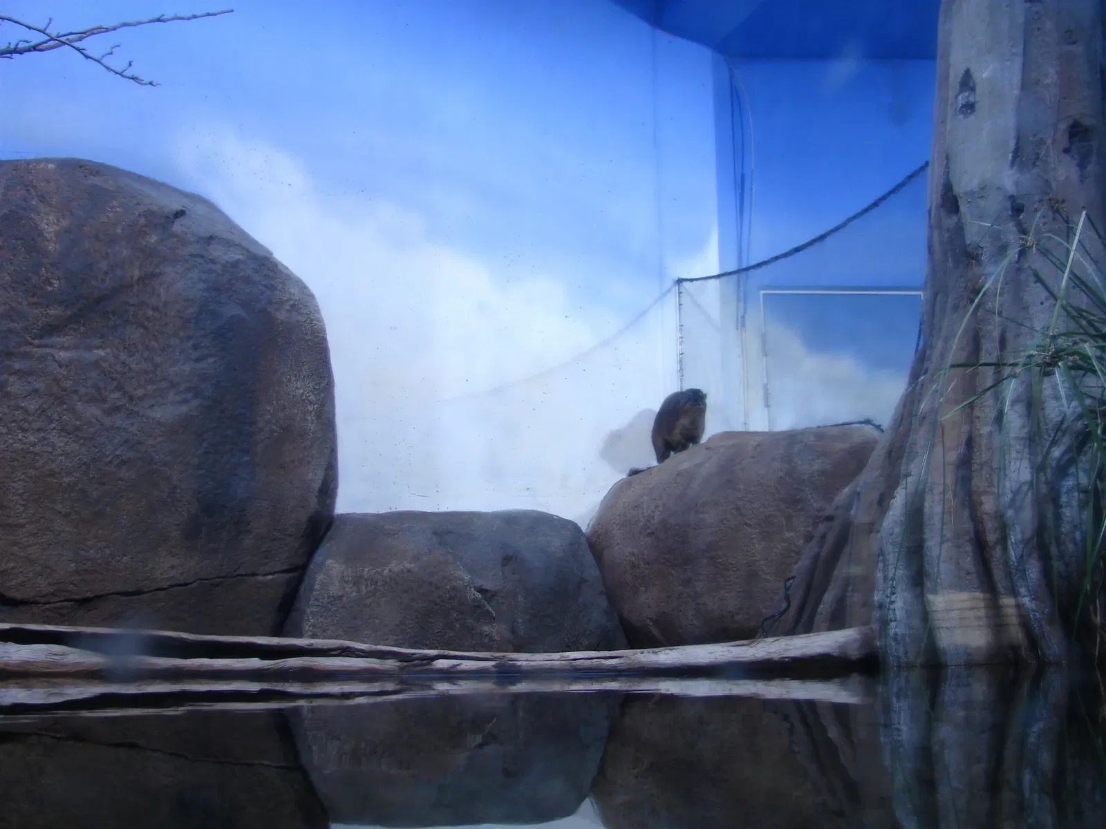 National Aquarium Denmark