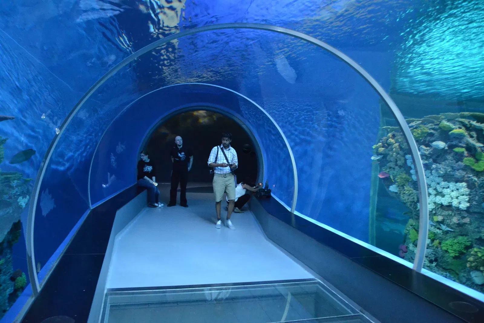 National Aquarium Denmark