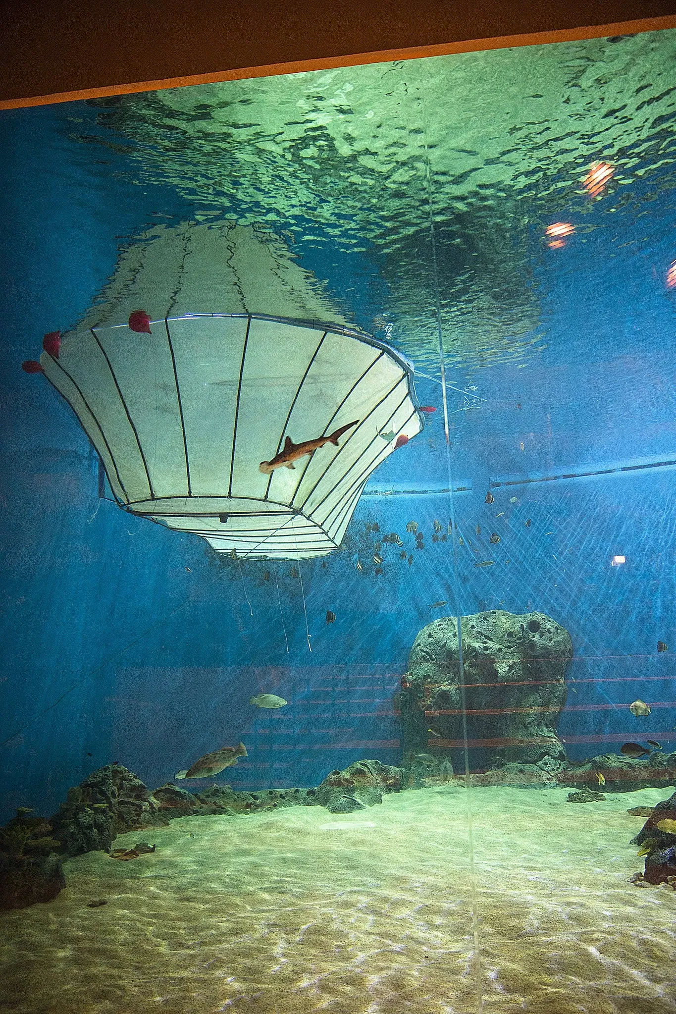 National Aquarium Denmark