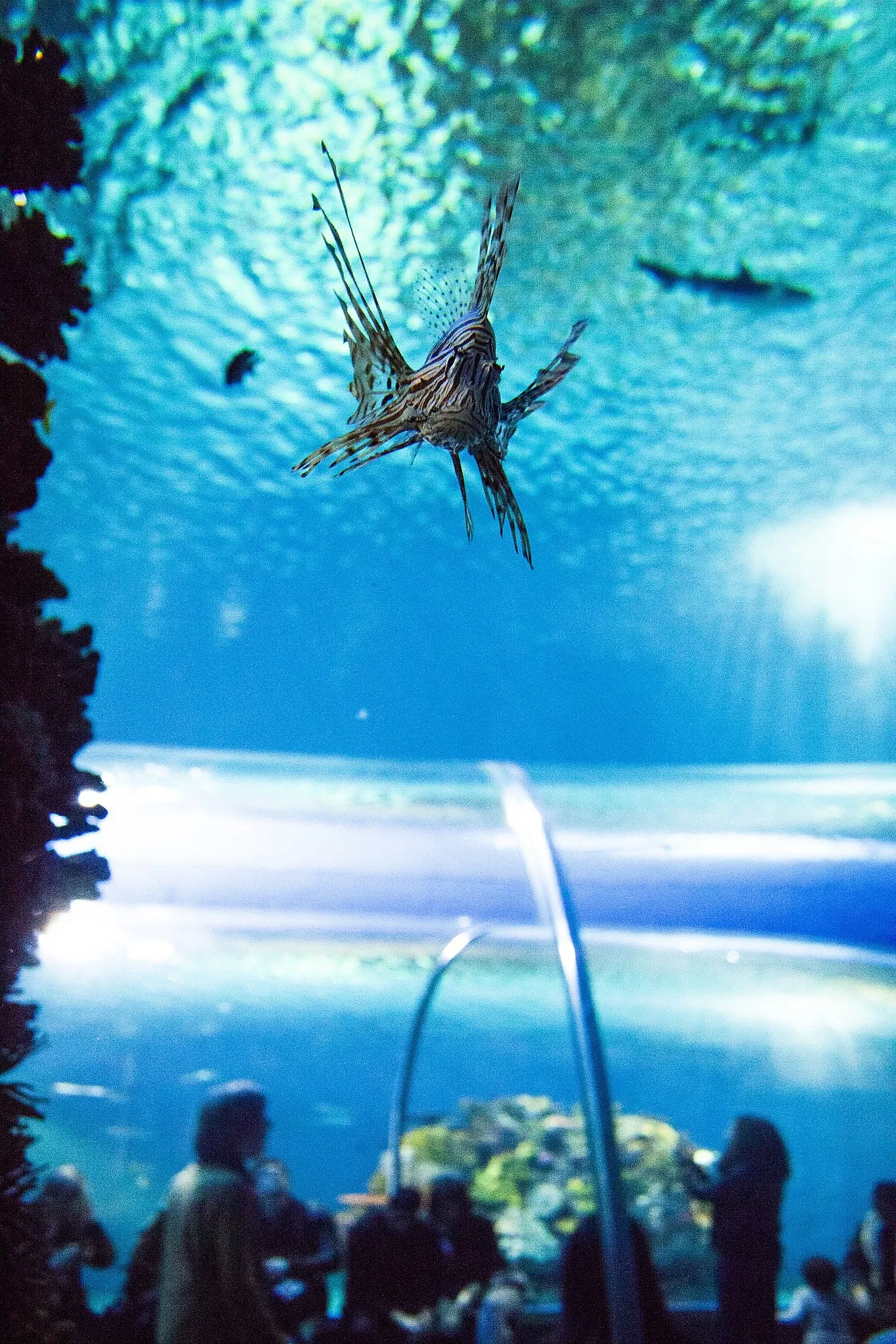 National Aquarium Denmark