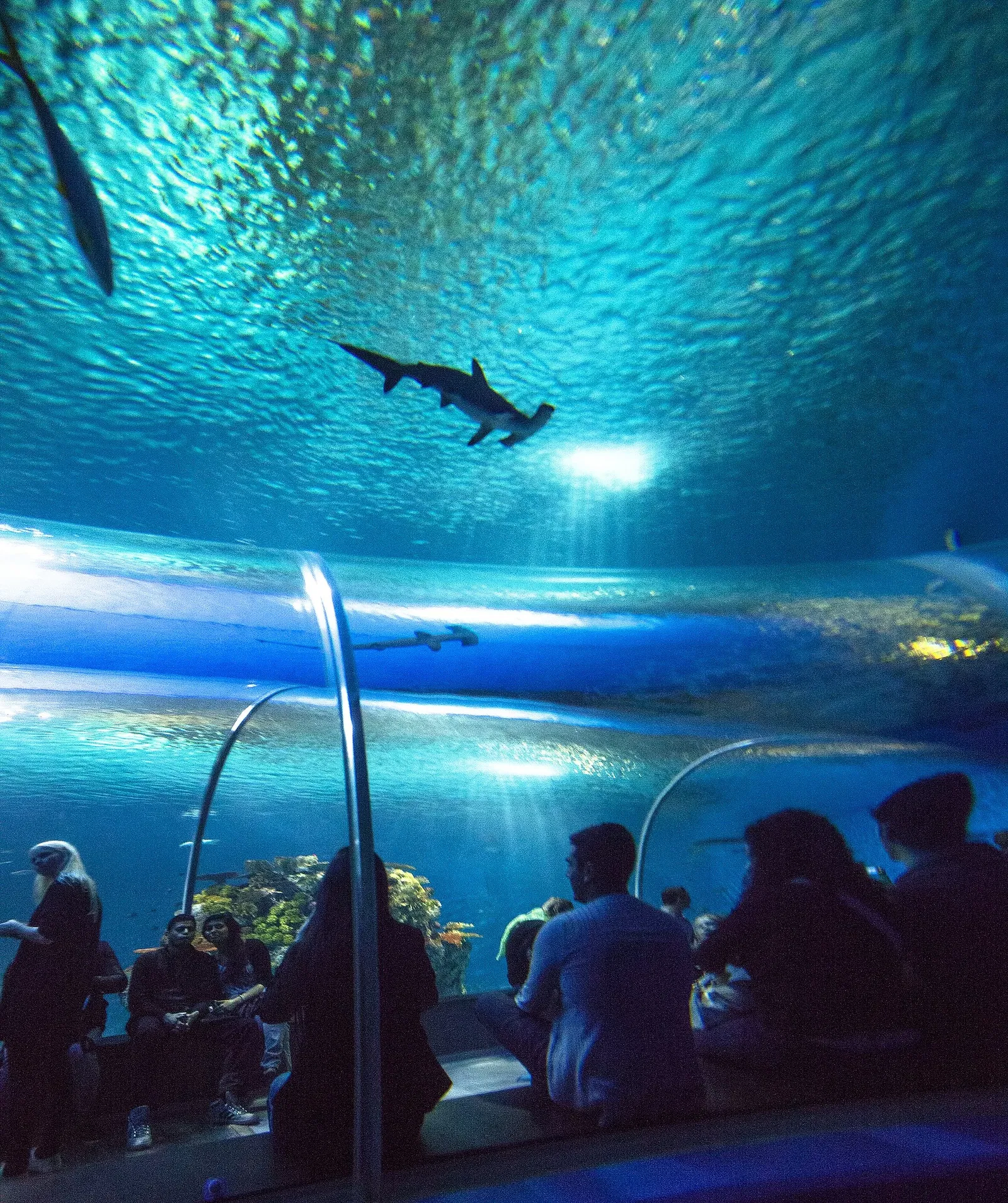 National Aquarium Denmark