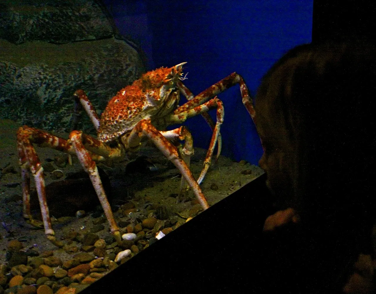 National Aquarium Denmark