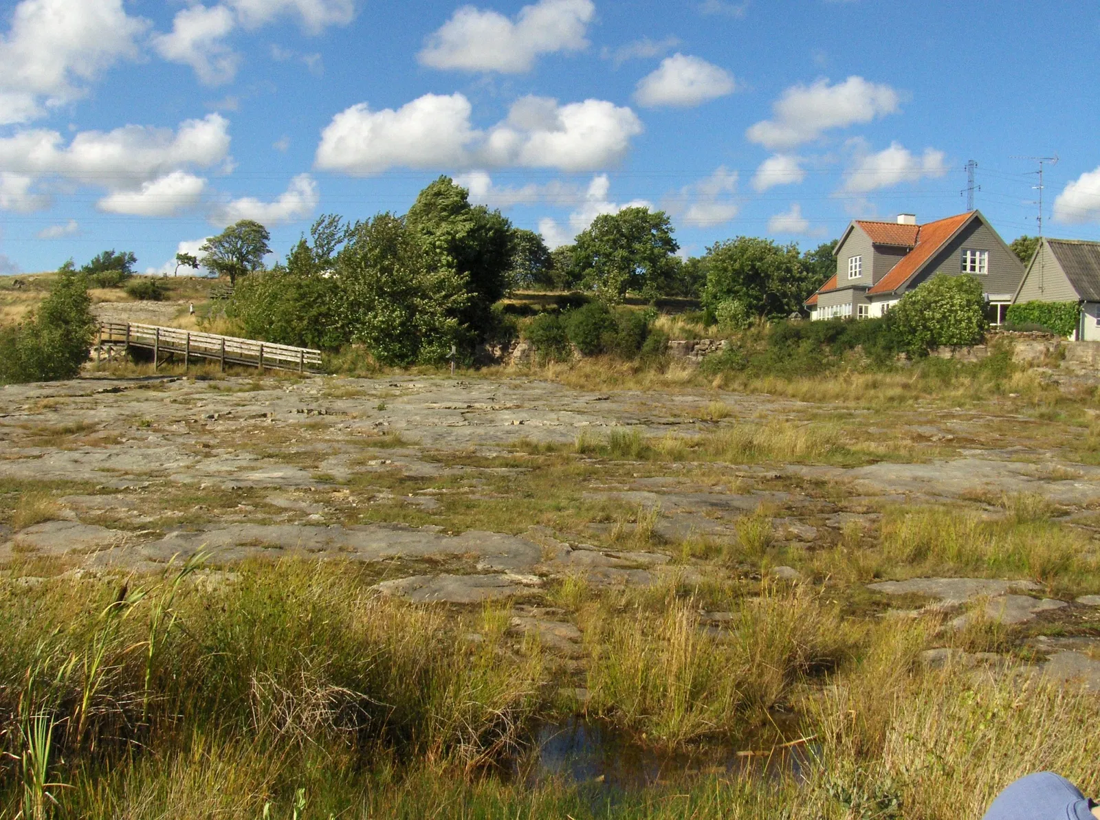 NaturBornholm