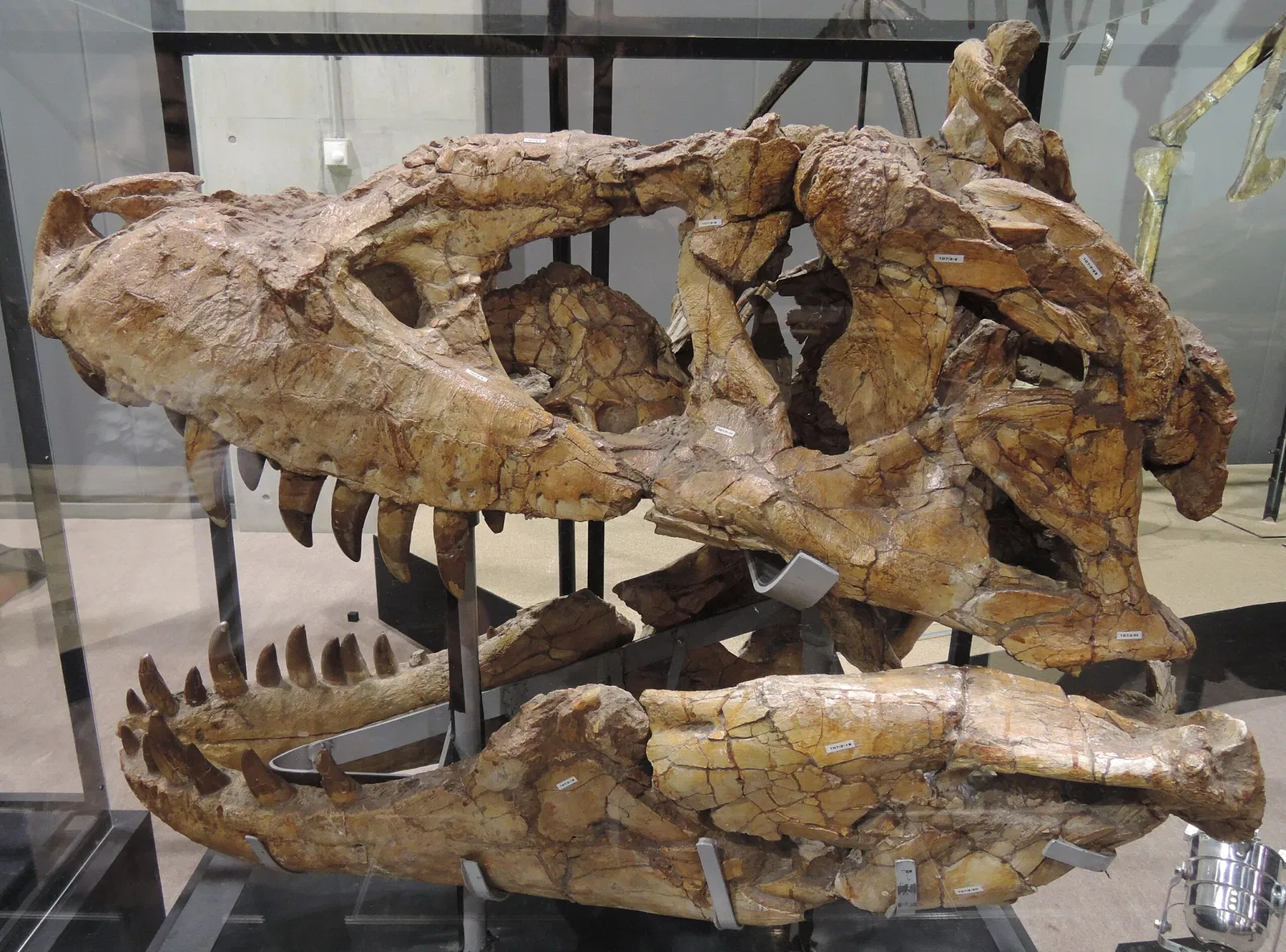 Nagoya City Science Museum