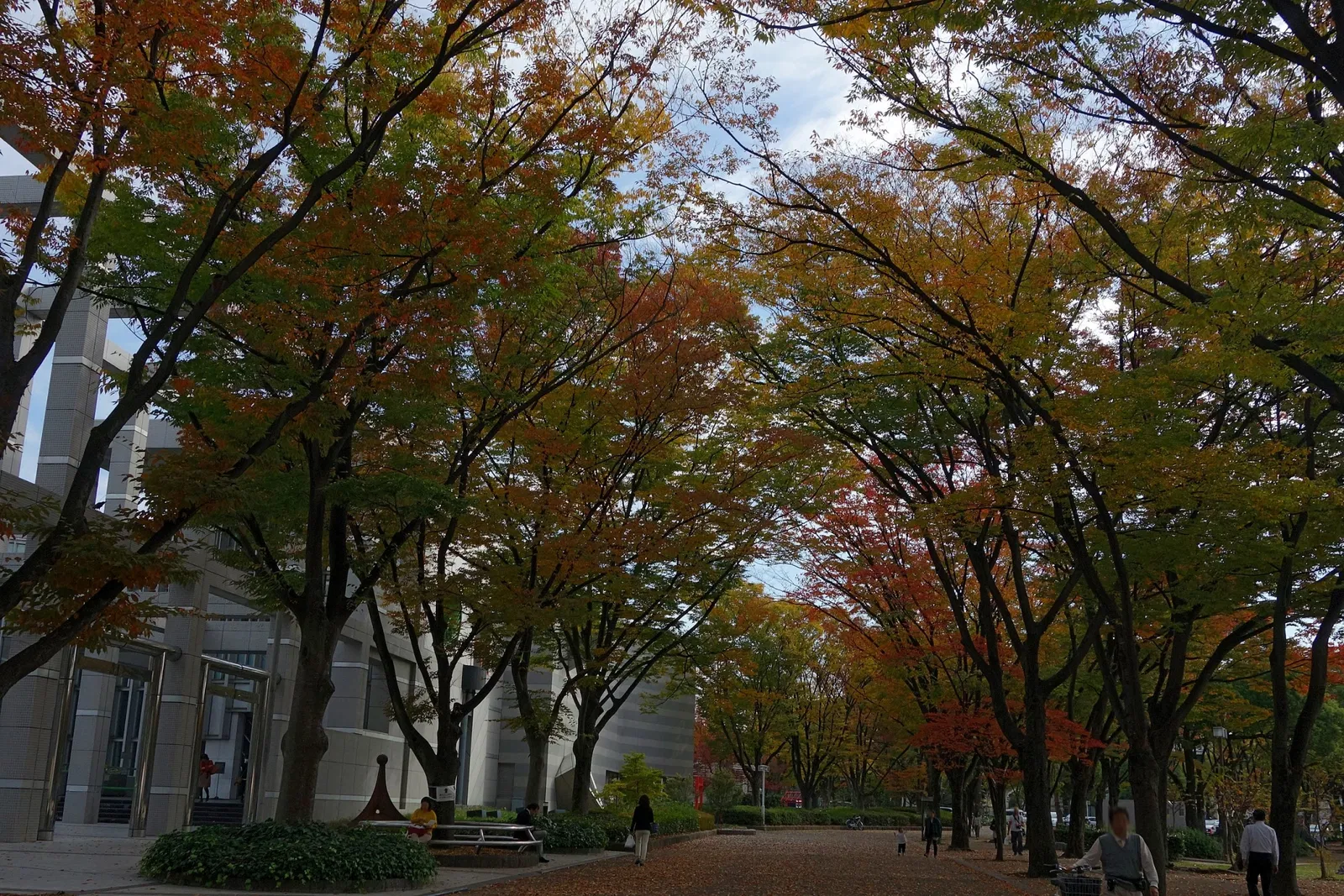 Nagoya City Art Museum