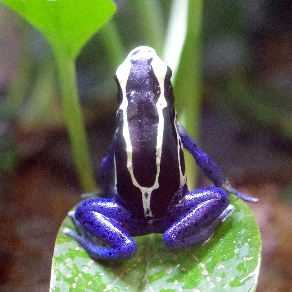 Higashiyama Zoo and Botanical Gardens