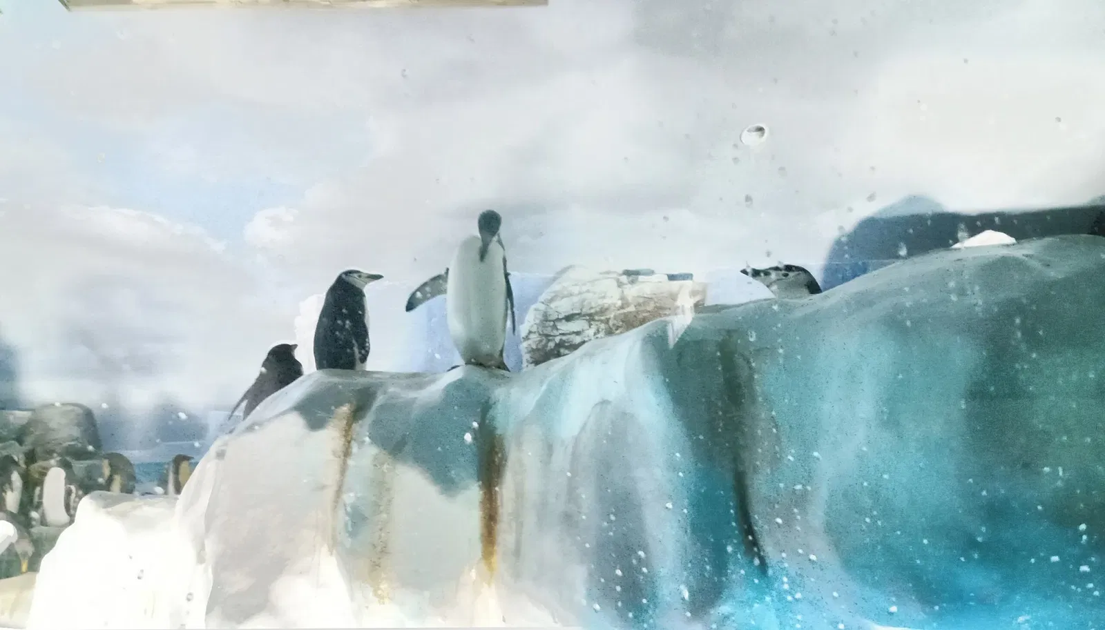 Port of Nagoya Public Aquarium