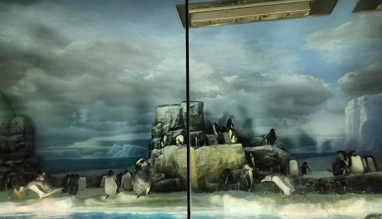 Port of Nagoya Public Aquarium