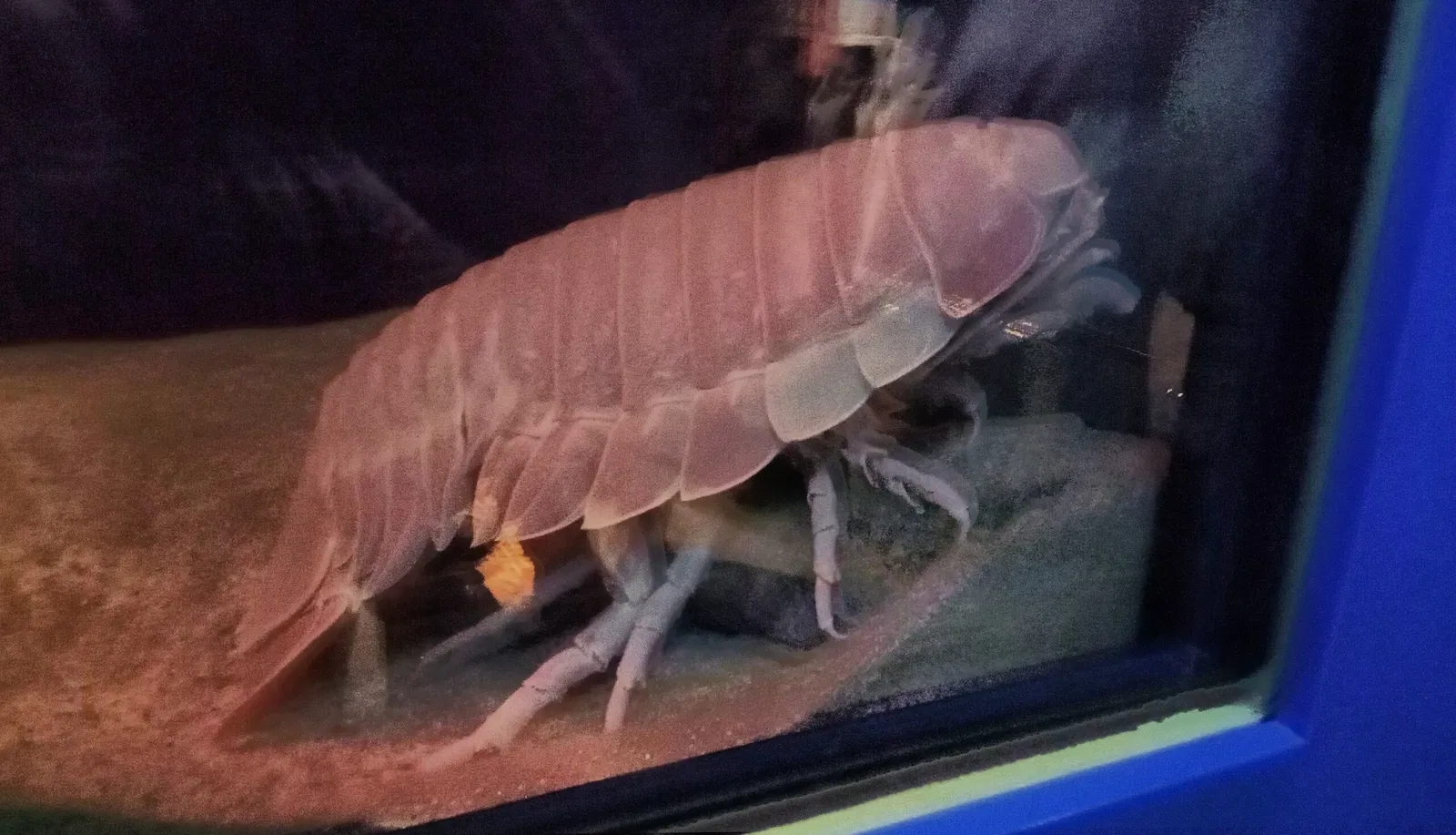 Port of Nagoya Public Aquarium