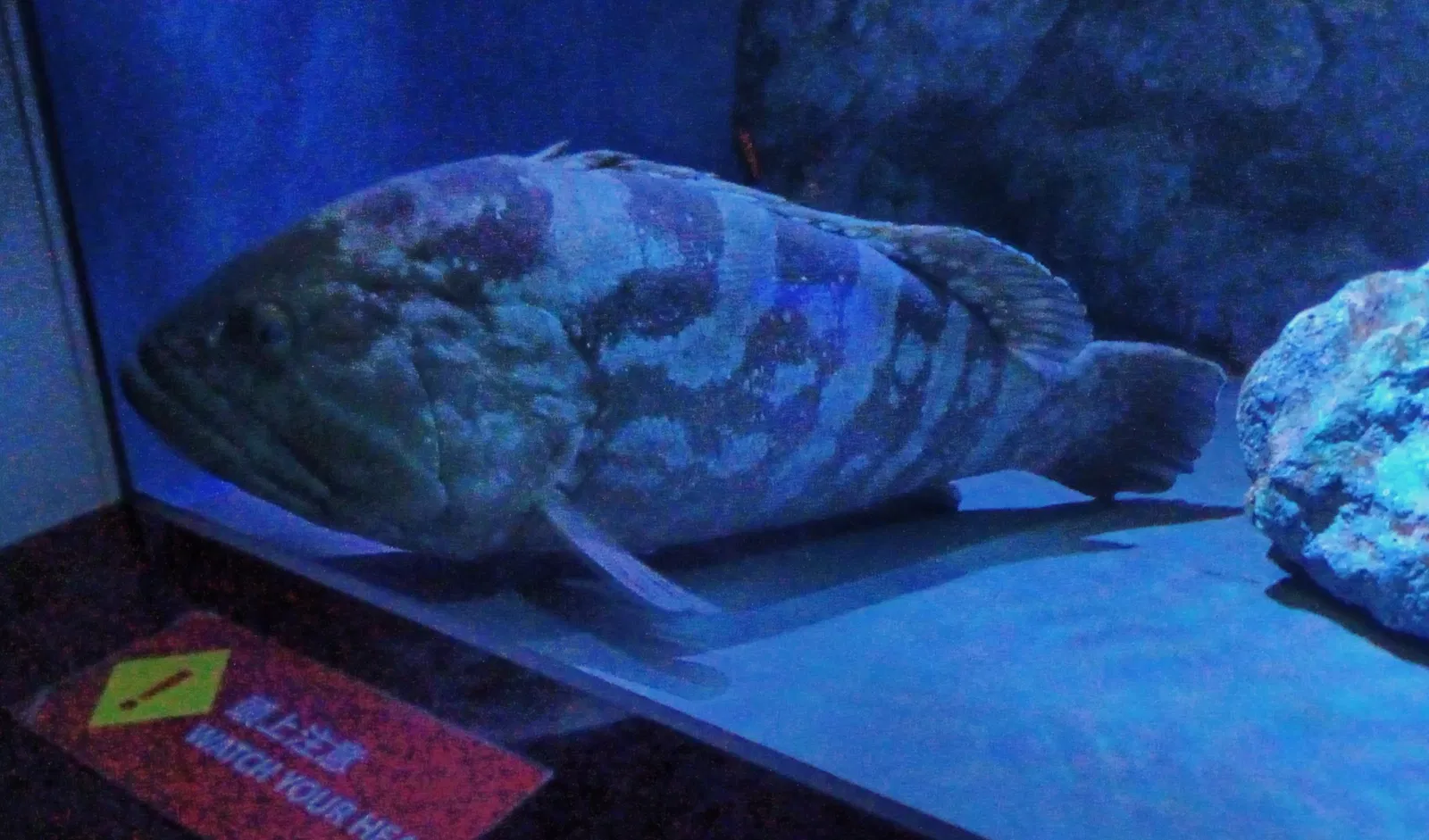 Port of Nagoya Public Aquarium