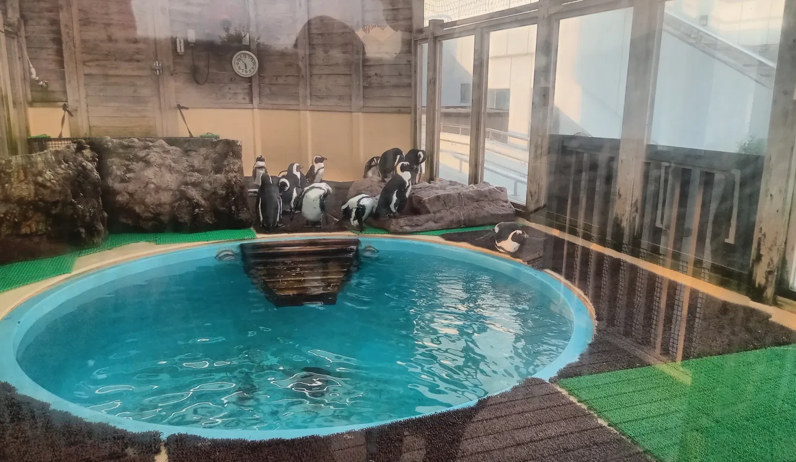 Port of Nagoya Public Aquarium