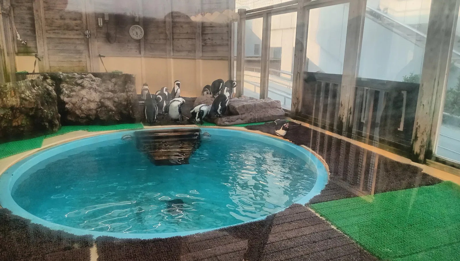 Port of Nagoya Public Aquarium