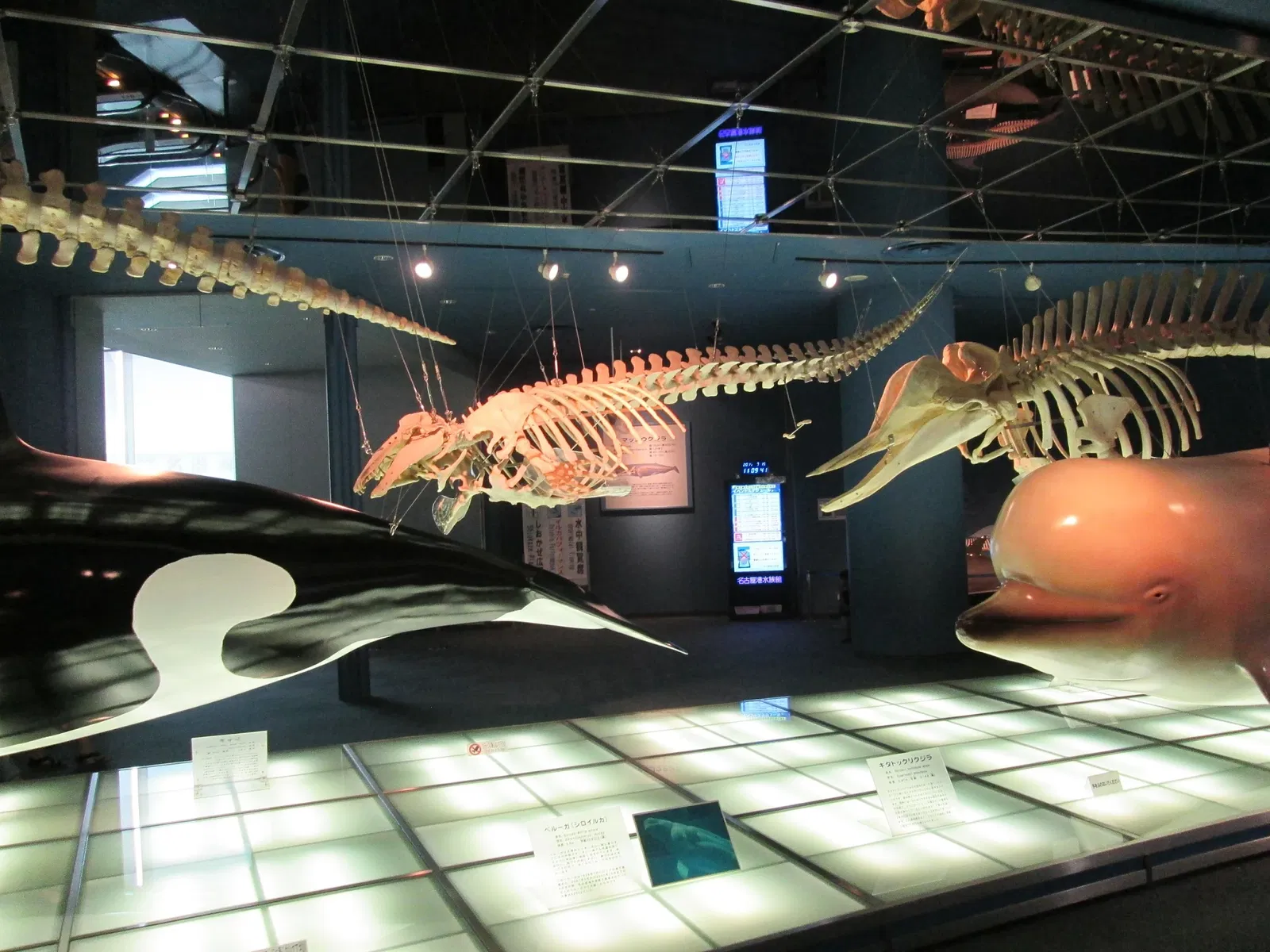 Port of Nagoya Public Aquarium