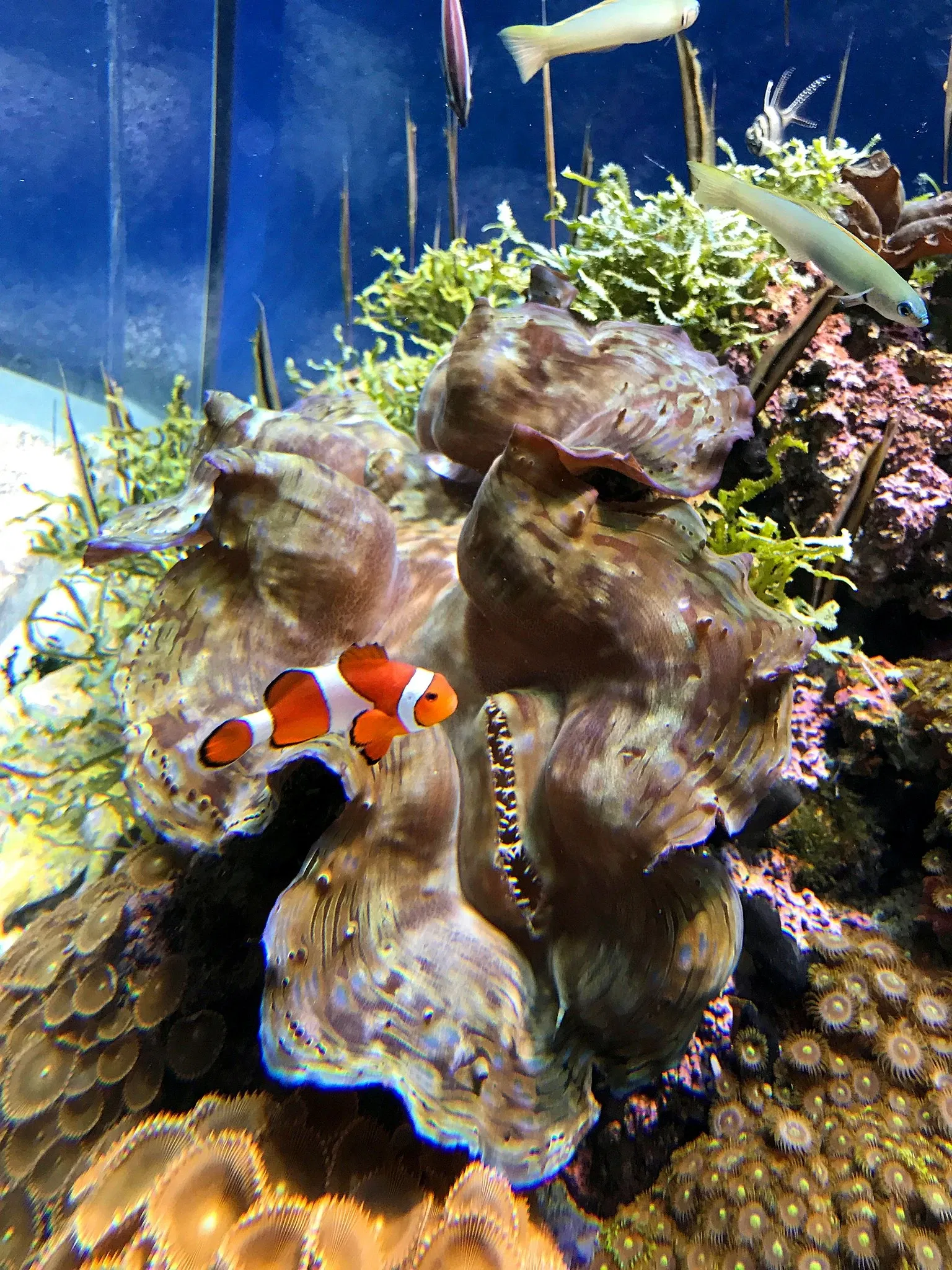 Port of Nagoya Public Aquarium