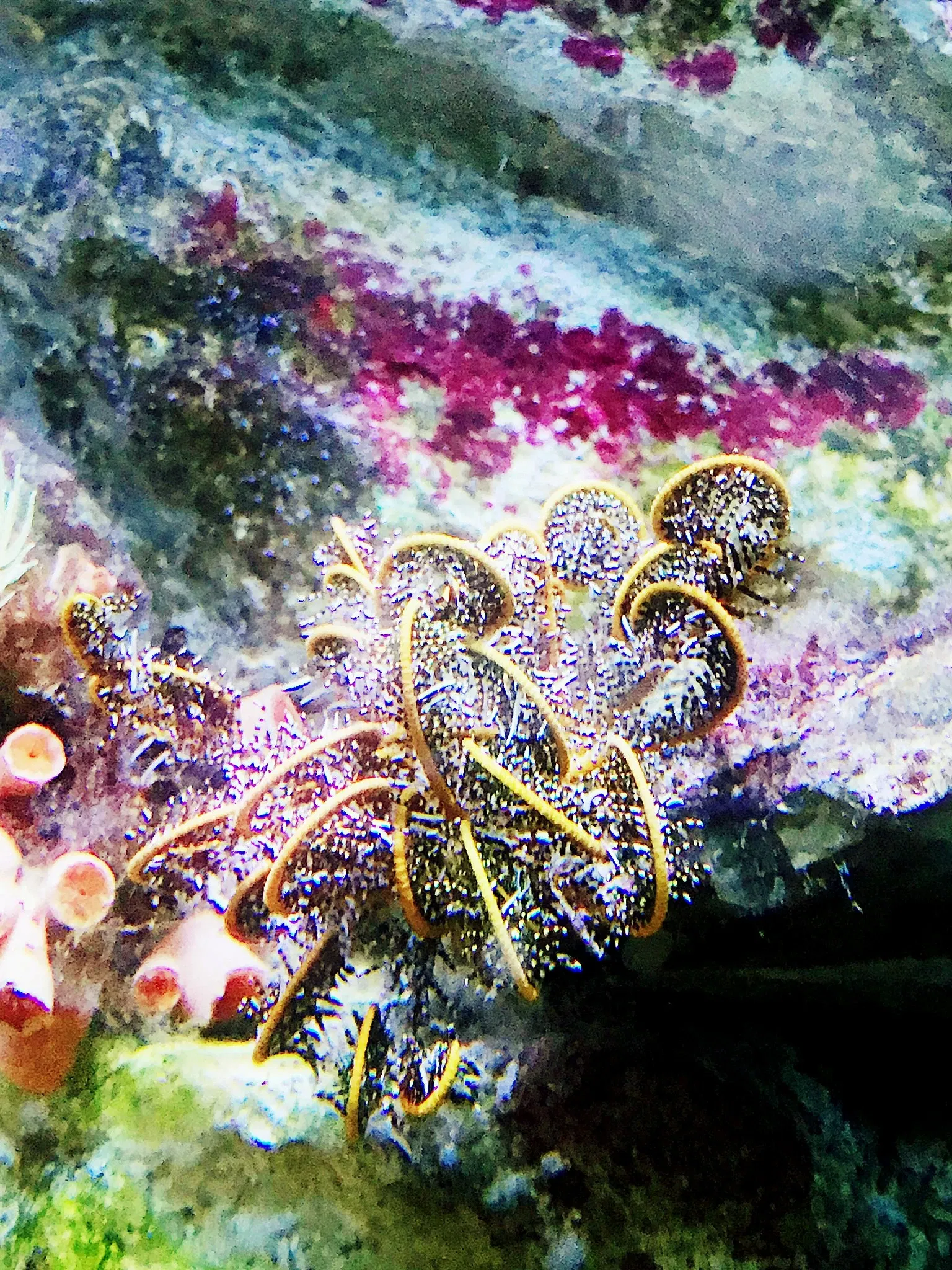 Port of Nagoya Public Aquarium