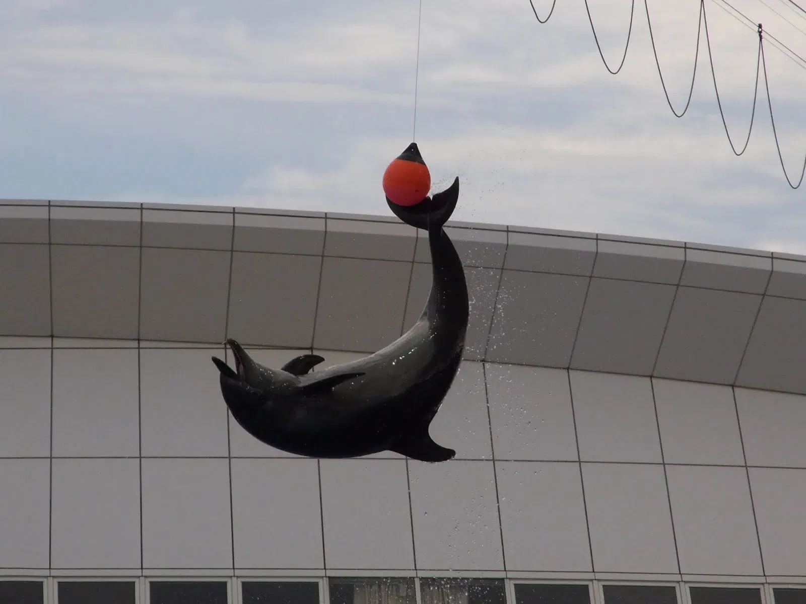 Port of Nagoya Public Aquarium