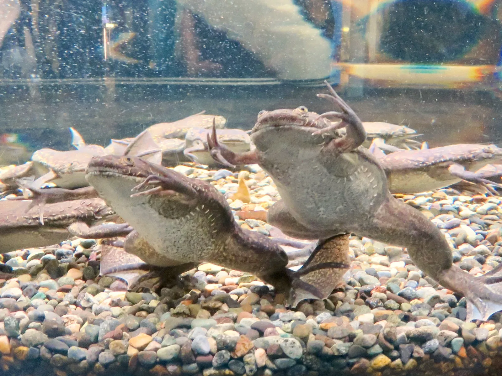 Port of Nagoya Public Aquarium