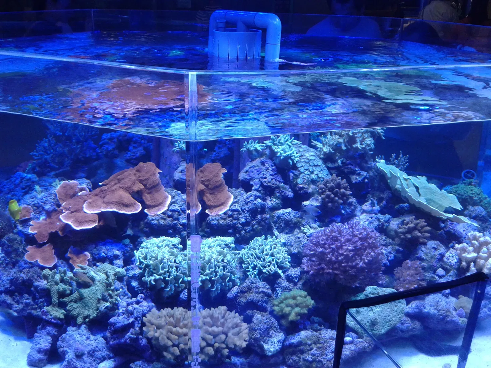 Port of Nagoya Public Aquarium