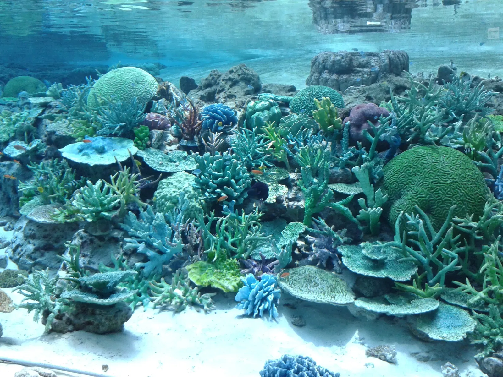 Port of Nagoya Public Aquarium