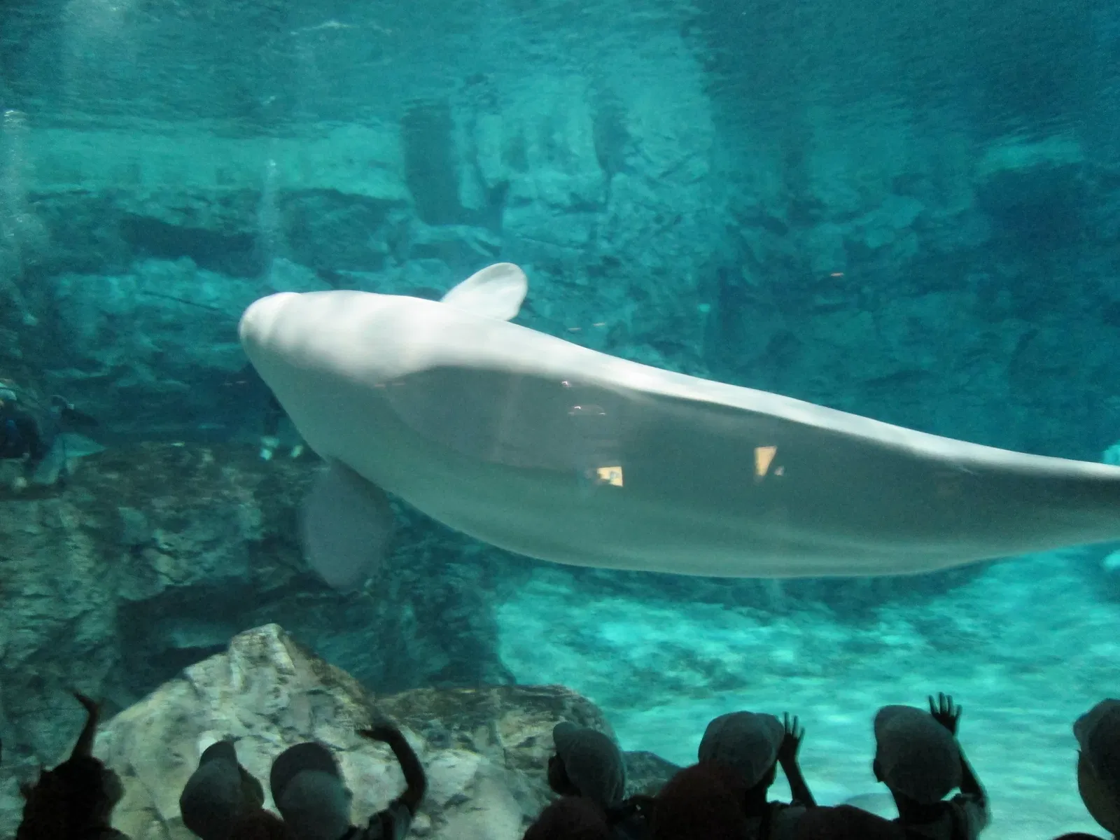 Port of Nagoya Public Aquarium