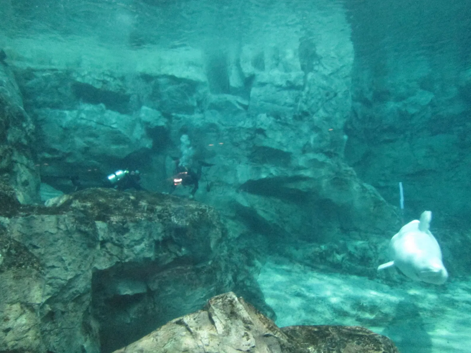 Port of Nagoya Public Aquarium