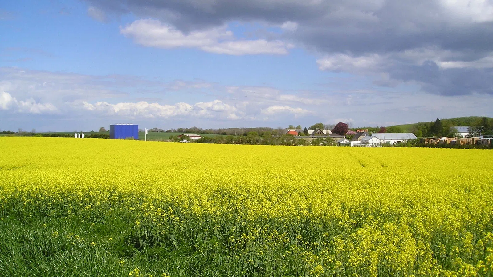 Universe Science Park