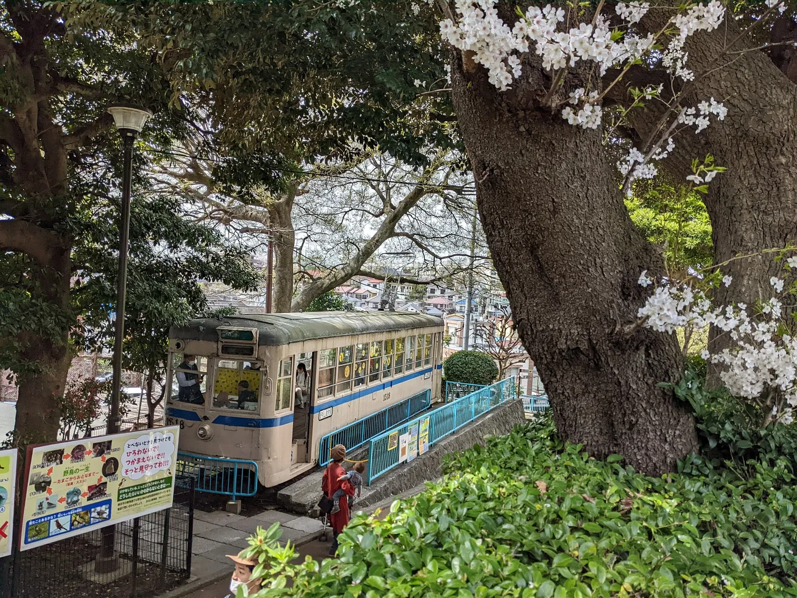 Nogeyama Zoological Gardens