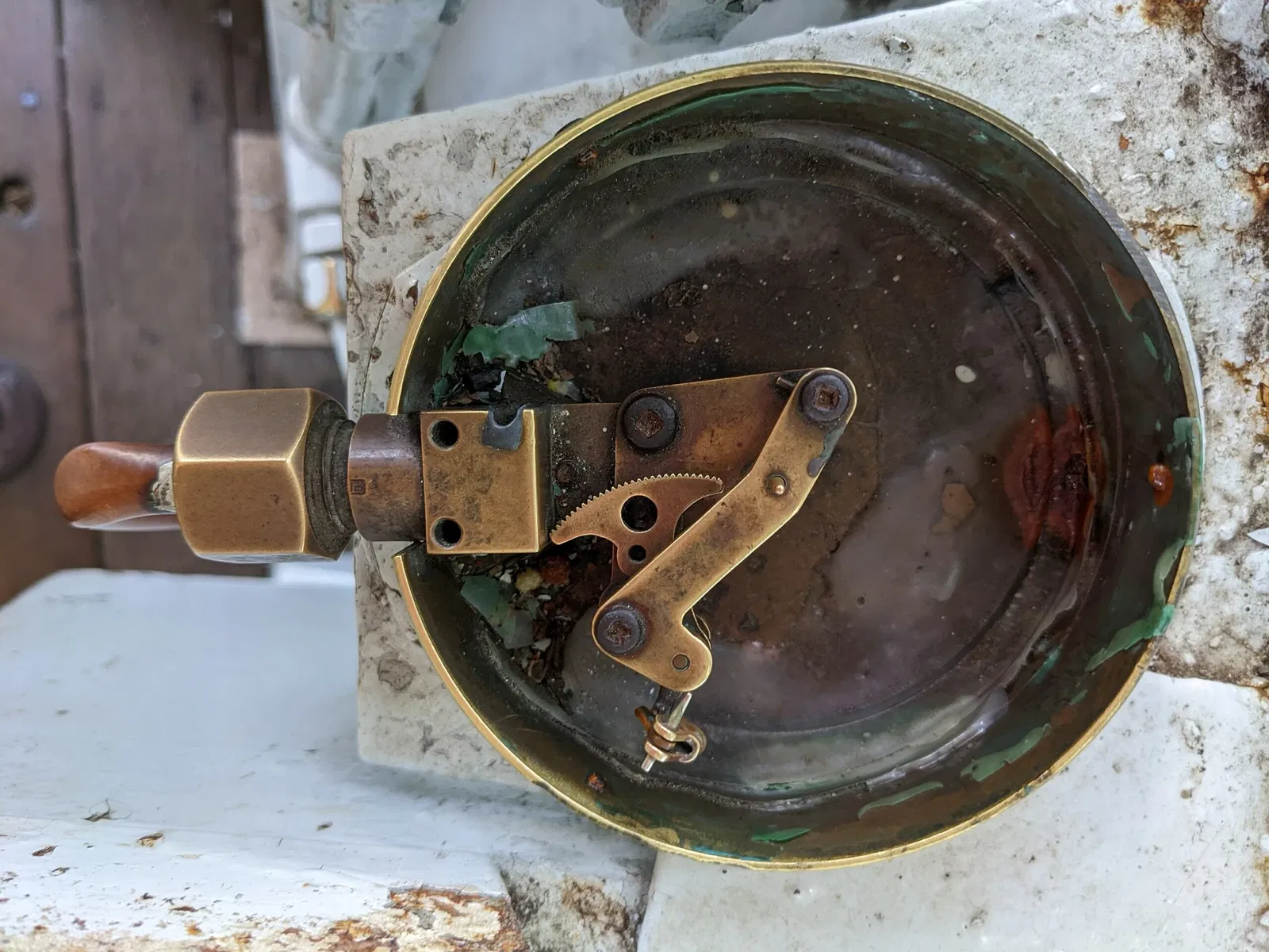 Nogeyama Zoological Gardens