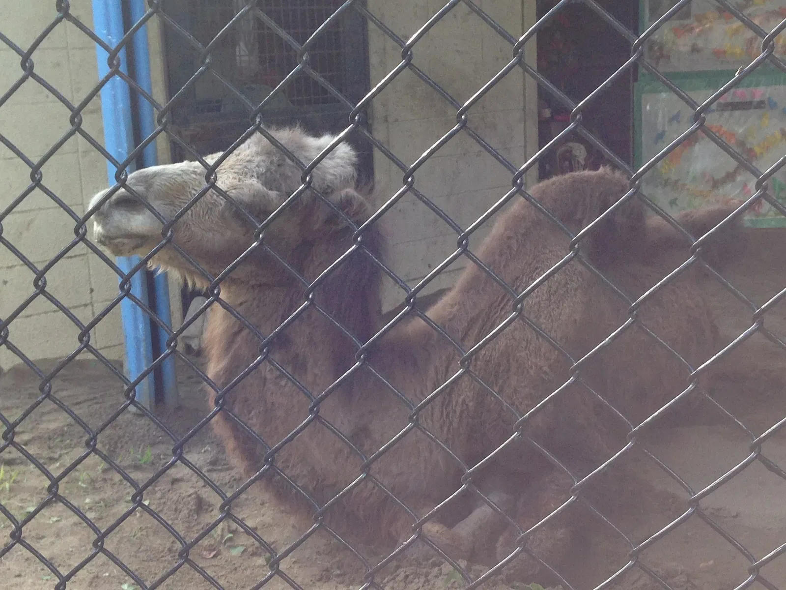 Nogeyama Zoological Gardens