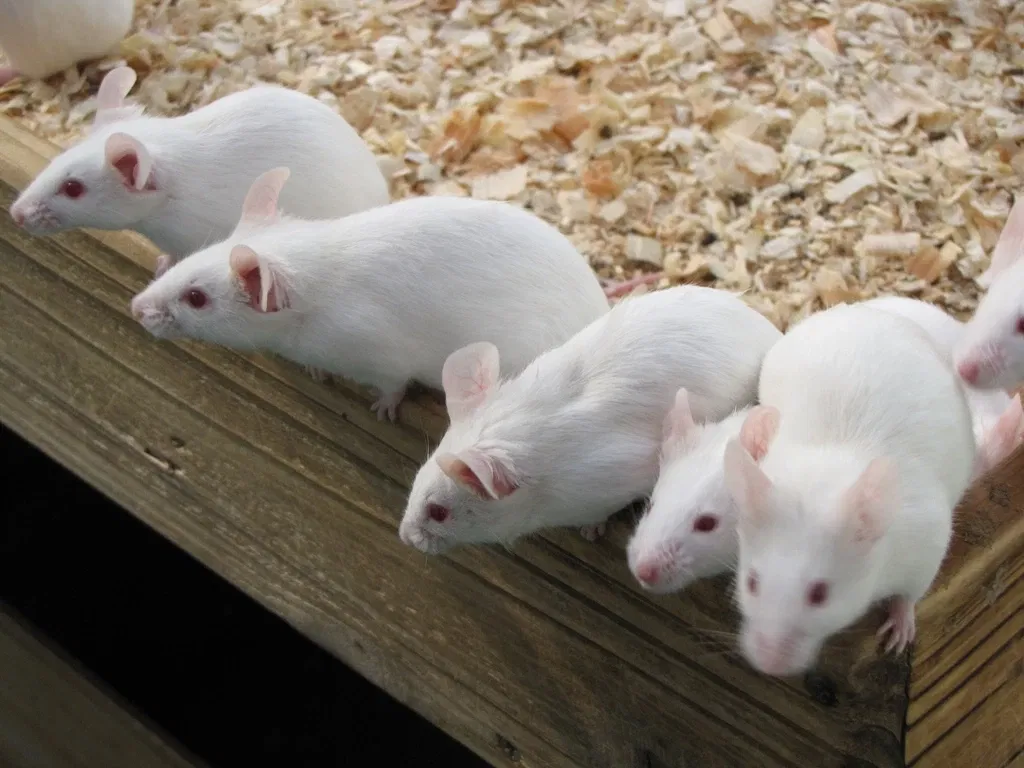 Nogeyama Zoological Gardens