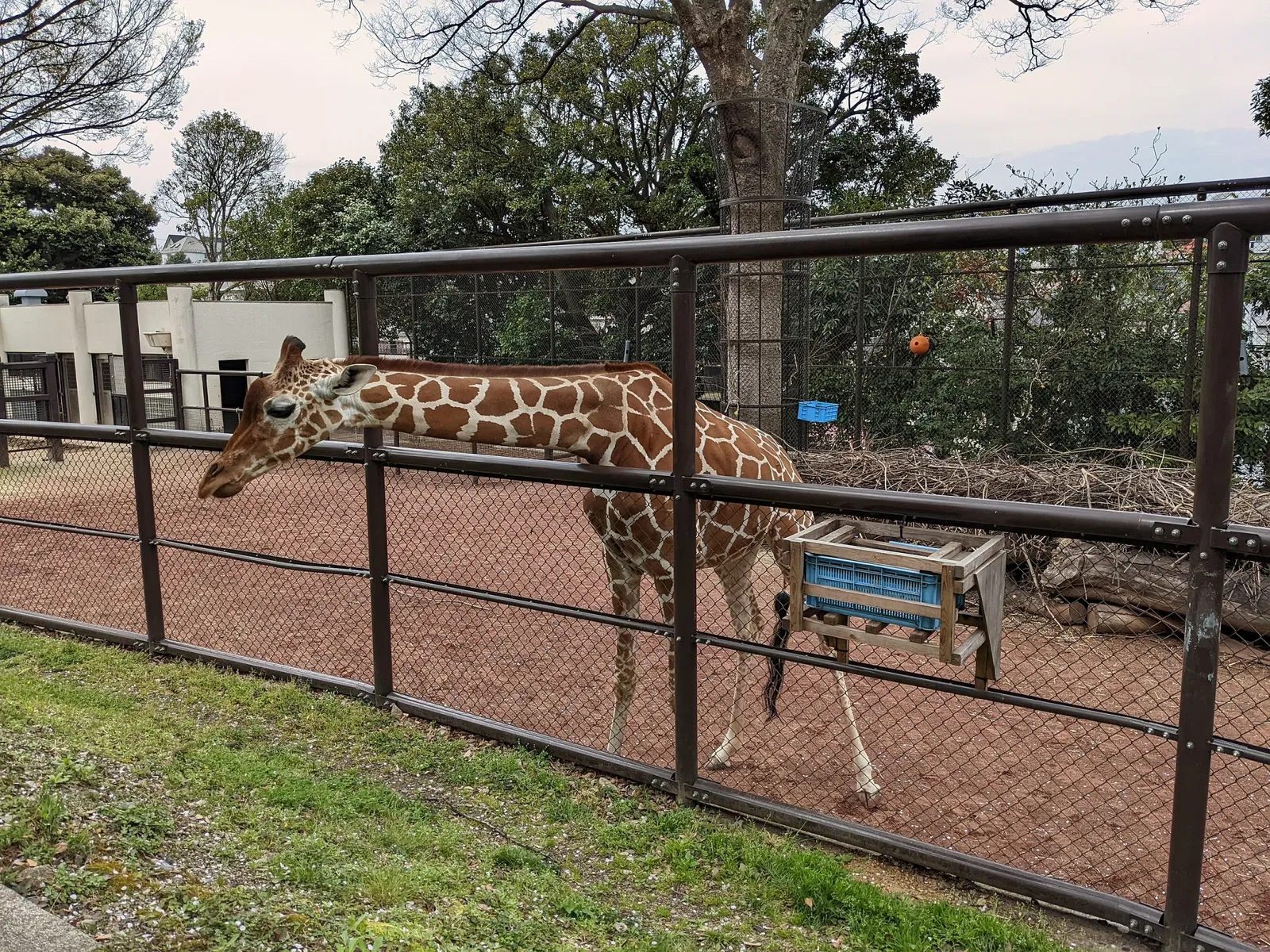 Nogeyama Zoological Gardens