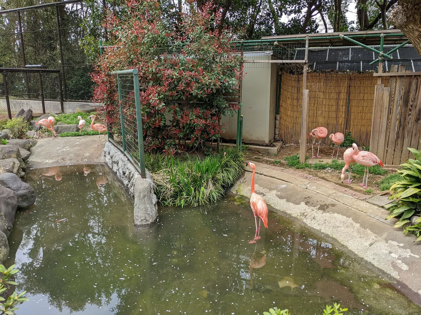 Nogeyama Zoological Gardens