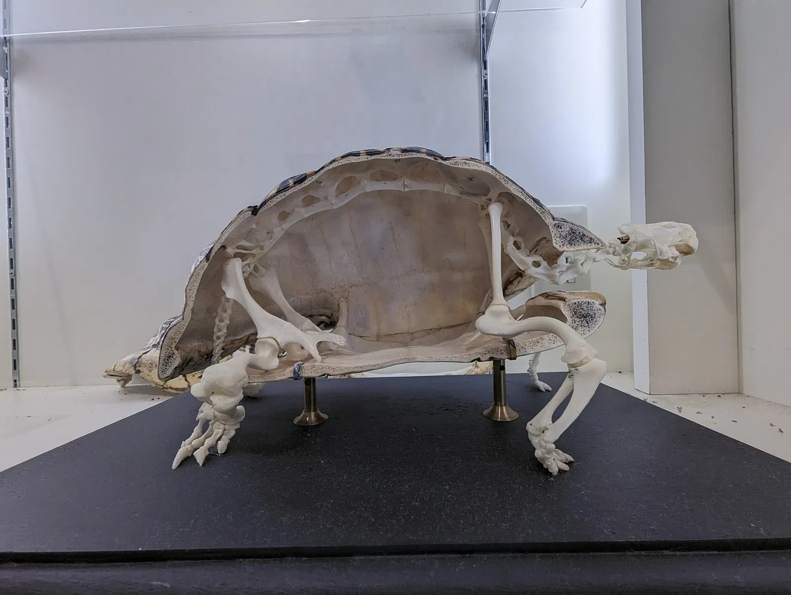 Nogeyama Zoological Gardens