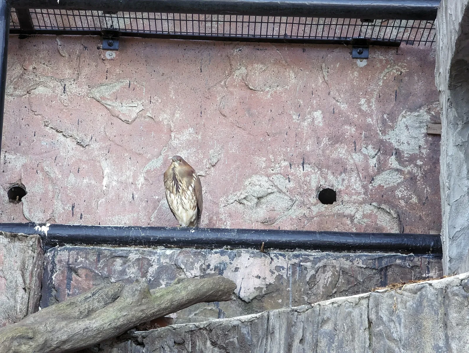 Nogeyama Zoological Gardens