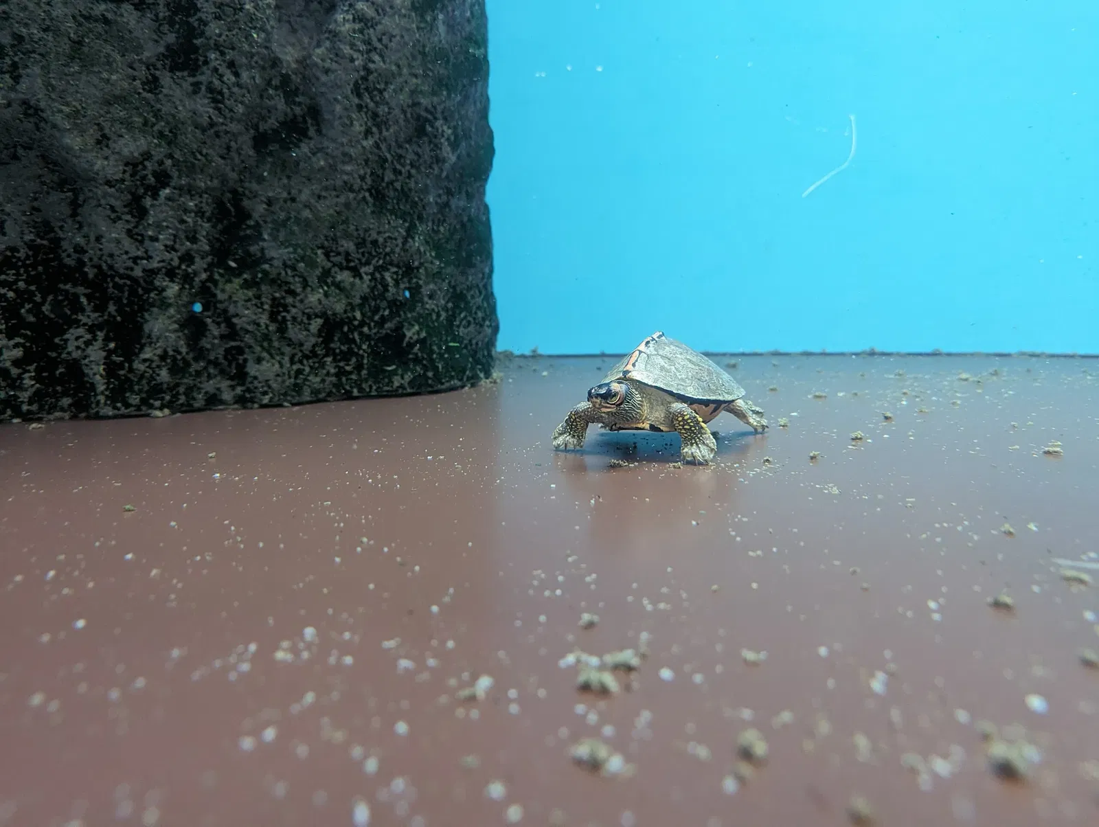 Nogeyama Zoological Gardens