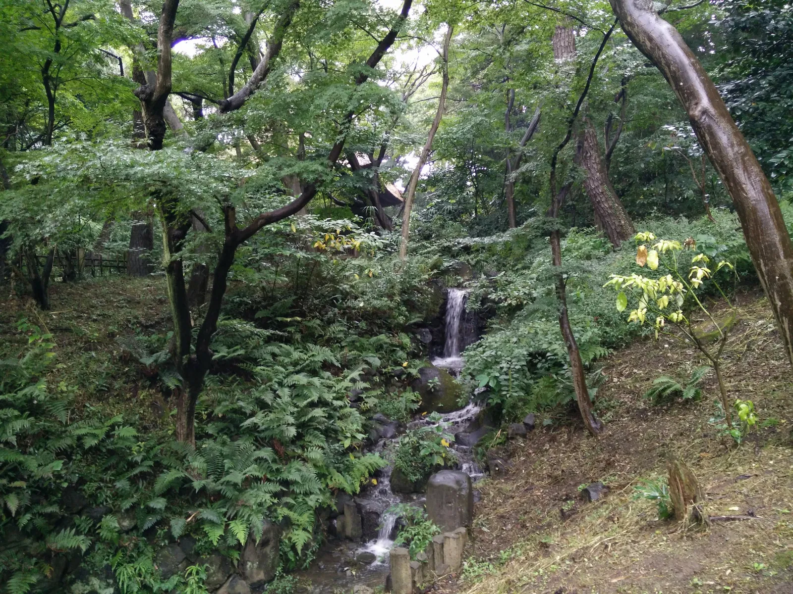 Sankeien Garden