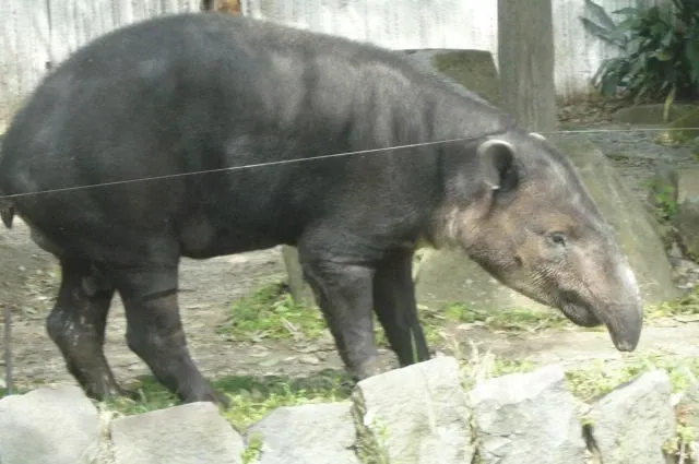Yokohama City Kanazawa Zoo