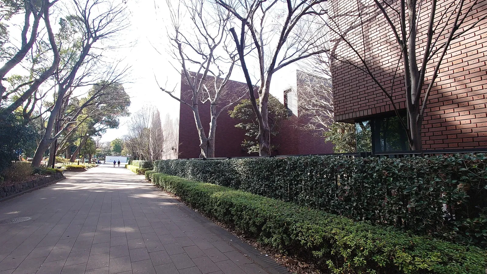 Tokyo Metropolitan Art Museum