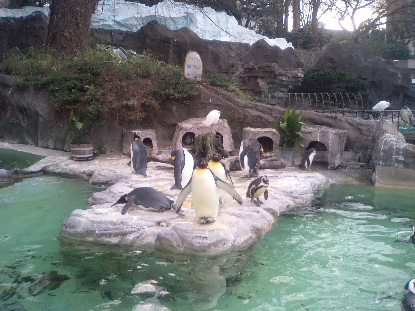 Ueno Zoo