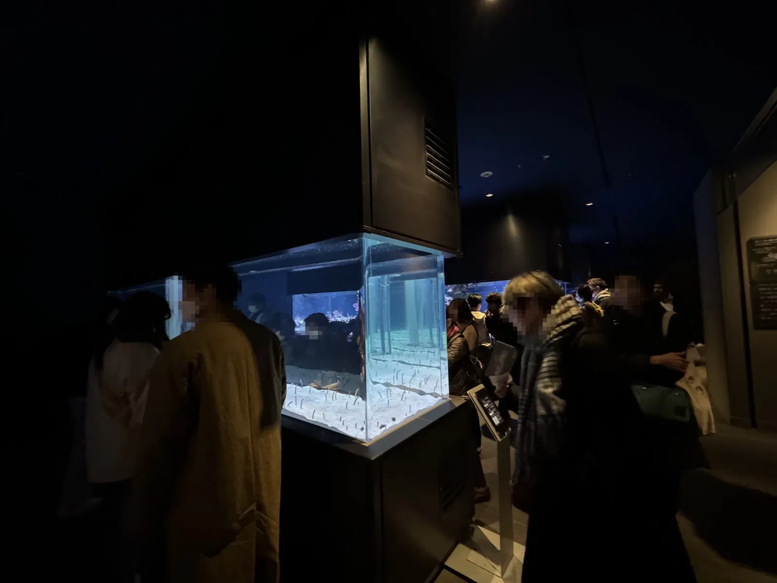 Sumida Aquarium